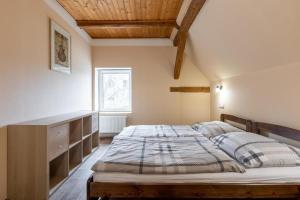 a bedroom with a large bed and a window at Apartmány Klínovec - Penzion Jonas in Loučná pod Klínovcem