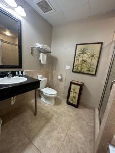 Tahitian Inn Boutique Hotel Tampa衛浴
