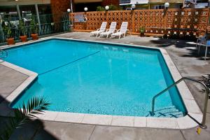 로열 센츄리 호텔 앳 LAX 내부 또는 인근 수영장