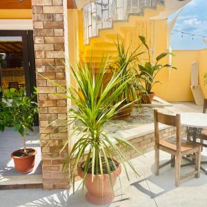a patio with plants and a table and a chair at Hotel Boutique Casa Venusian in Venus