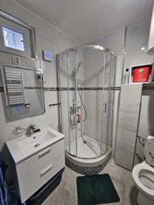 ein Bad mit einer Dusche, einem Waschbecken und einem WC in der Unterkunft Studio bien équipé proche mer in Montpellier