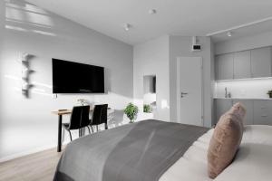 Μια τηλεόραση ή/και κέντρο ψυχαγωγίας στο Cozy Studio in Reykjavik