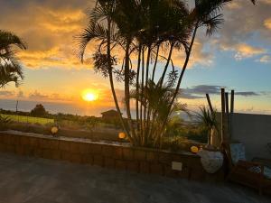 puesta de sol desde el patio de una casa con palmeras en Afrikan Krisant Tenerife, Casa Rural Ecologica, en Arafo
