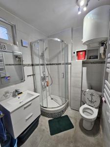 ein Bad mit einer Dusche, einem WC und einem Waschbecken in der Unterkunft Studio bien équipé proche mer in Montpellier