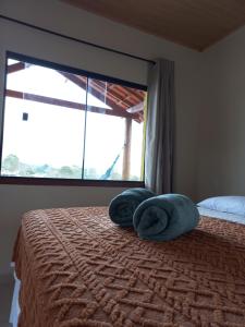 um quarto com uma cama com duas almofadas em Recanto Cachoeiras de Ibicoara em Ibicoara