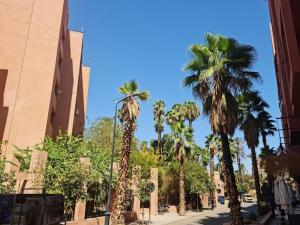 a row of palm trees on a city street at Superbe appartement lumineux in Marrakesh