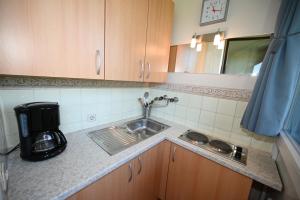 uma cozinha com um lavatório e comodidades para preparar café em Haus 1 top 38 em Kaprun