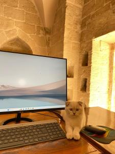 a cat sitting on a desk next to a computer monitor at Dara Konagı in Mardin