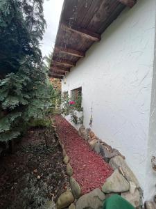 un patio lateral con una pasarela de piedra junto a un edificio en Rustic house, en TÄƒuÅ£ii MÄƒgheruÅŸ