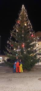 Foto dalla galleria di M4 Appartements a Wagrain