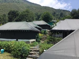 a group of tents in a garden with mountains in the background at Camp Dharamshala in Dharamshala