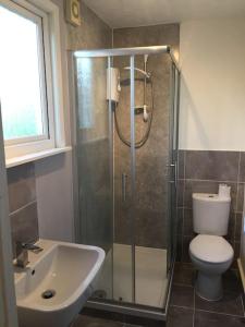 a bathroom with a shower and a toilet and a sink at The Chalet In The New Forest - 5 km from Peppa Pig! in Southampton