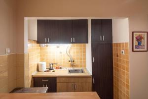 a kitchen with black cabinets and a sink at Q9 in Kragujevac