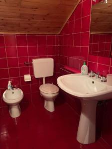 a pink bathroom with a toilet and a sink at Sopra la Scaletta in Lavarone