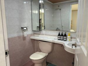 a bathroom with a toilet and a sink and a mirror at Haru Airport Stay Gimpo in Seoul
