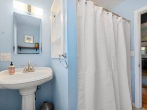 bagno con lavandino e tenda da doccia bianca di Alberta Arts with Hot Tub and Yoga Studio a Portland Altre 20 foto