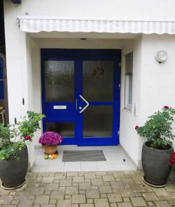 a blue door on a house with two potted plants at FeWo im Ried.Schwanau in Schwanau