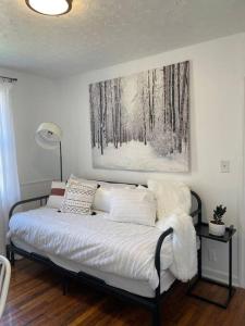 Bett in einem Zimmer mit Wandgemälde in der Unterkunft Pet Friendly, 30+ Night Stay in Johnson City