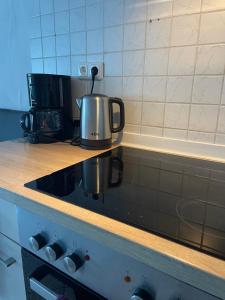 uma chaleira de chá em cima de um lavatório de cozinha em SoNi Apartment em Dieburg