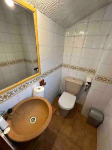 a bathroom with a sink and a toilet and a mirror at Bodega típica en El Molar sin camas ni dormitorios in El Molar