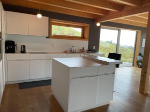 Η κουζίνα ή μικρή κουζίνα στο Alpine Dream Chalet with Spa close to Lake Geneva