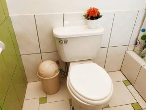 a bathroom with a toilet with a plant on top of it at Apart Florencia 2 con cochera! in Tacna