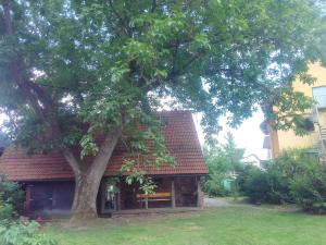 uma pequena casa com uma árvore num quintal em Günts Lichthaus / Vestscheune em Breuberg