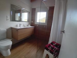 a bathroom with a toilet and a sink and a shower at ATALOZTI Maison d'hôtes ST JEAN PIED DE PORT in Ascarat