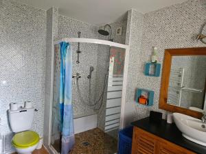 Kúpeľňa v ubytovaní Vaste maison Fouras 15 pers 6 chbres meublé 3* + 29 fotografií