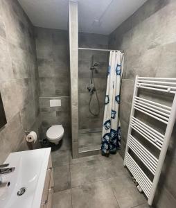 uma casa de banho com um chuveiro, um WC e um lavatório. em SoNi Apartment em Dieburg