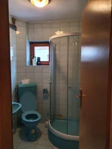 y baño con aseo verde y ducha. en Guest house SAMM, en Šišava