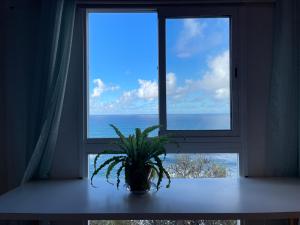 Uma vista do mar tirada da casa de hóspedes