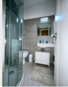 a bathroom with a shower and a sink and a toilet at Appartamento di Vacanze in Muralto