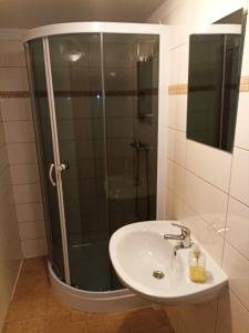 a bathroom with a sink and a glass shower at Chata Dáša in Kořenov +62 photos