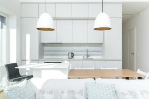 Kuchyň nebo kuchyňský kout v ubytování Brand new 2bdroom Free Parking Apartment