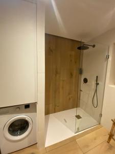 een wasmachine in een badkamer met een douche bij El balcon de formentera in La Savina