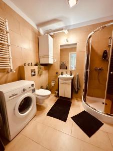 a bathroom with a washing machine and a toilet at Śnieżkowe Love - dwupoziomowy apartament z garażem in Karpacz