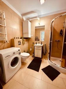 Un baño con lavadora y un inodoro. en Śnieżkowe Love - dwupoziomowy apartament z garażem, en Karpacz