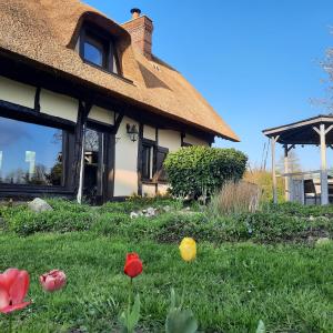 a house with tulips in the grass in front of it at Les 2 chaumières avec piscine in Épinay