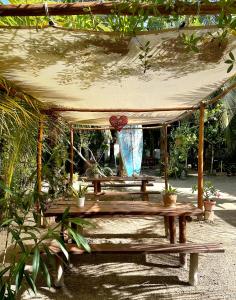 a wooden gazebo with a bunch of plants at Sirenas Caribbean Rooms Holbox in Holbox Island