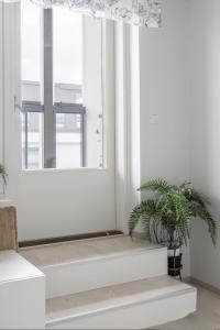 a window seat in a room with a potted plant at Beautiful Modern City Apartment in Kuopio