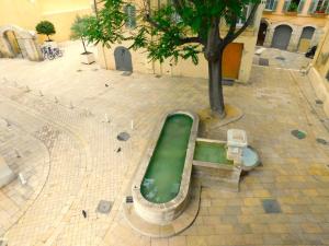 a green tub sitting next to a tree on a street at #2 Studio # Place charmante in Toulon