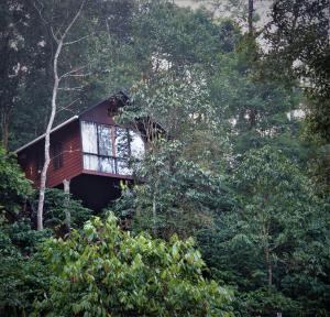 Landskap semula jadi dekat dengan vila ini