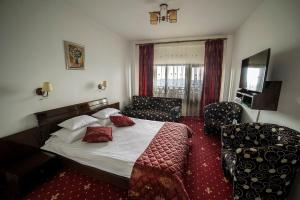 1 dormitorio con cama, sofá y TV en Pension Valea Mariei en Ranca