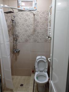 La petite salle de bains est pourvue d'une douche et de toilettes. dans l'établissement saba on Dadiani street, à Tbilissi