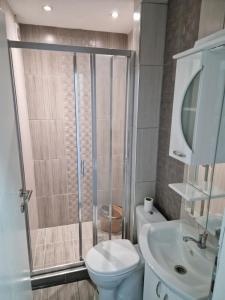 a bathroom with a shower and a toilet and a sink at City Square Apartment in Kumanovo