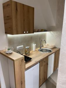 a kitchen with a sink and a counter top at Dream House in Novi Sad