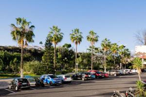 un estacionamiento con muchos coches y palmeras en GP127 apartman Tenerife, en San Miguel de Abona