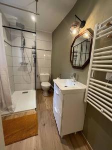 a bathroom with a shower and a sink and a toilet at Chez SAM in Langres