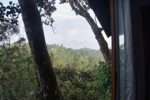 Landskap semula jadi dekat dengan vila ini